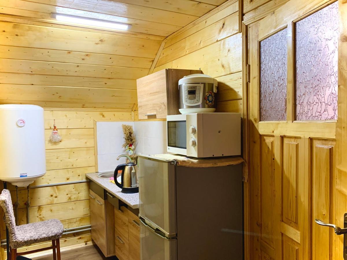 Apartment за горбами Yaremche